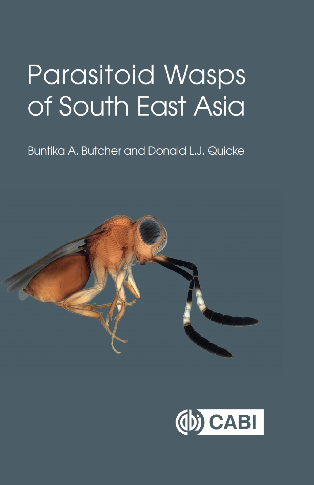 Parasitoid Wasps of South East Asia 