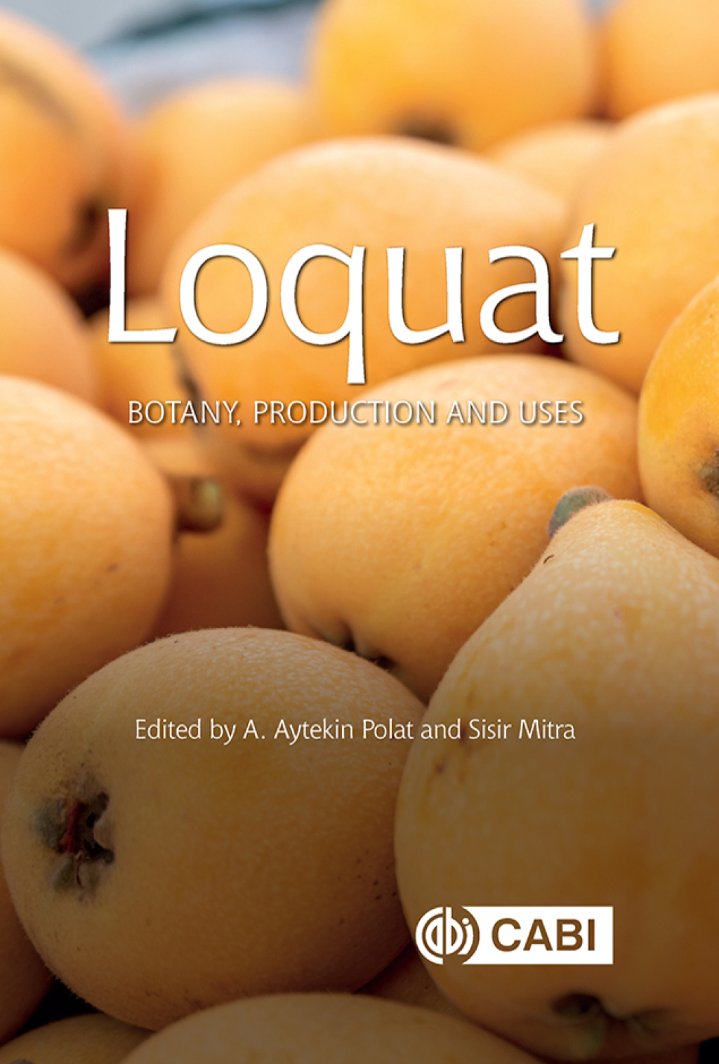 Loquat Botany, Production and Uses 