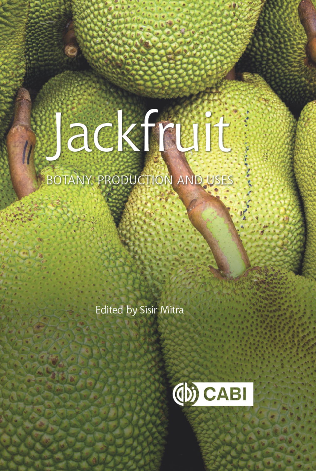 Jackfruit Botany, Production and Uses 