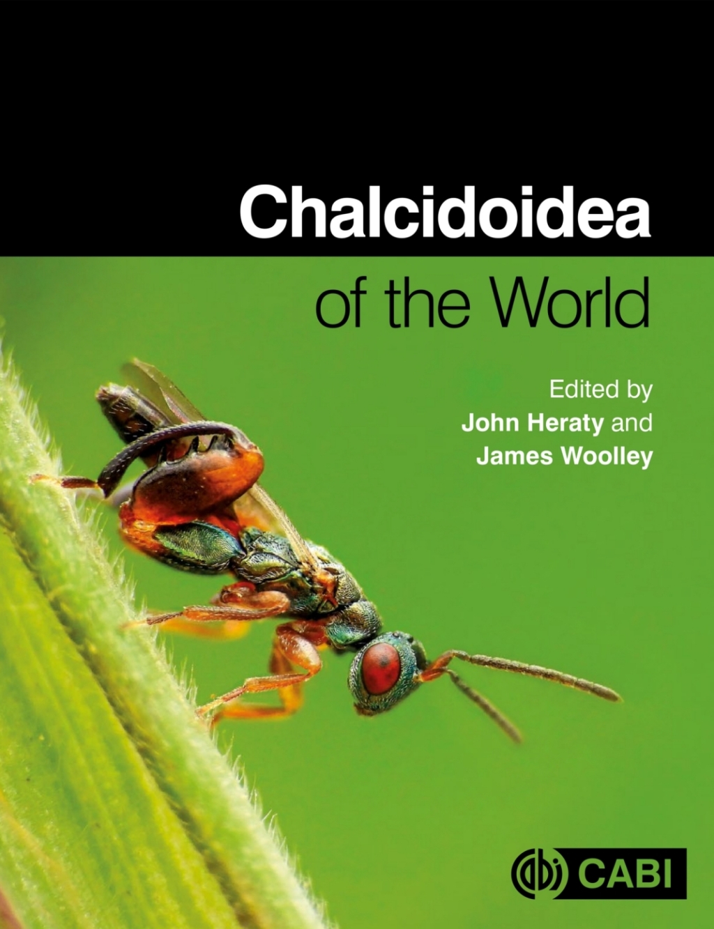 Chalcidoidea of the World 