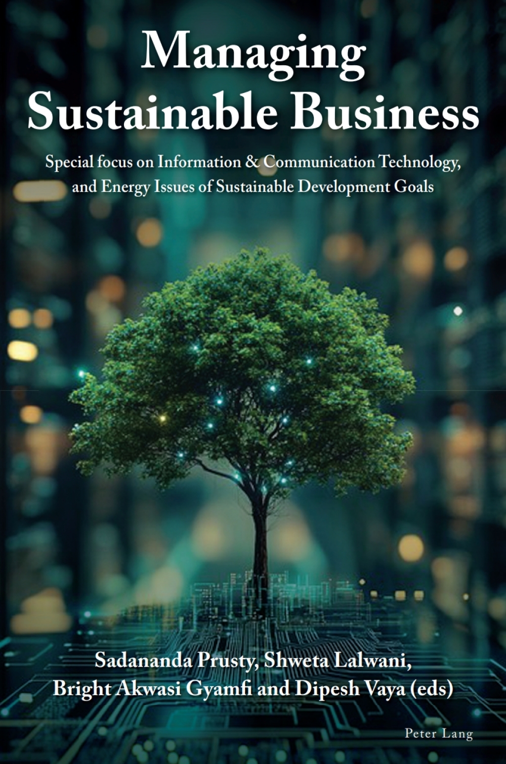 Managing Sustainable Business Special focus on Information & Communication Technology, and Energy Issues of Sustainable Development Goals 1st Edition