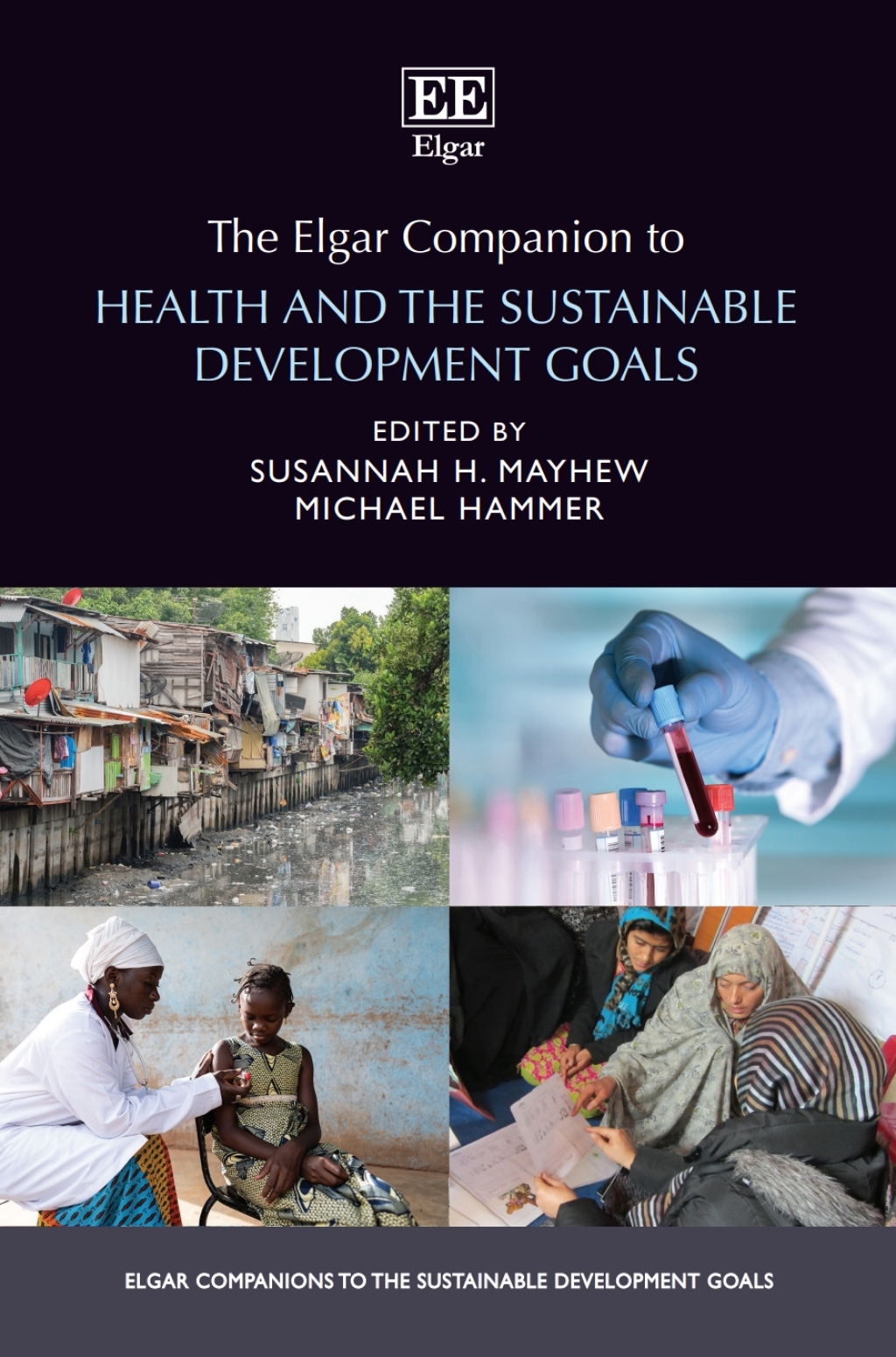 The Elgar Companion to Health and the Sustainable Development Goals 1st Edition