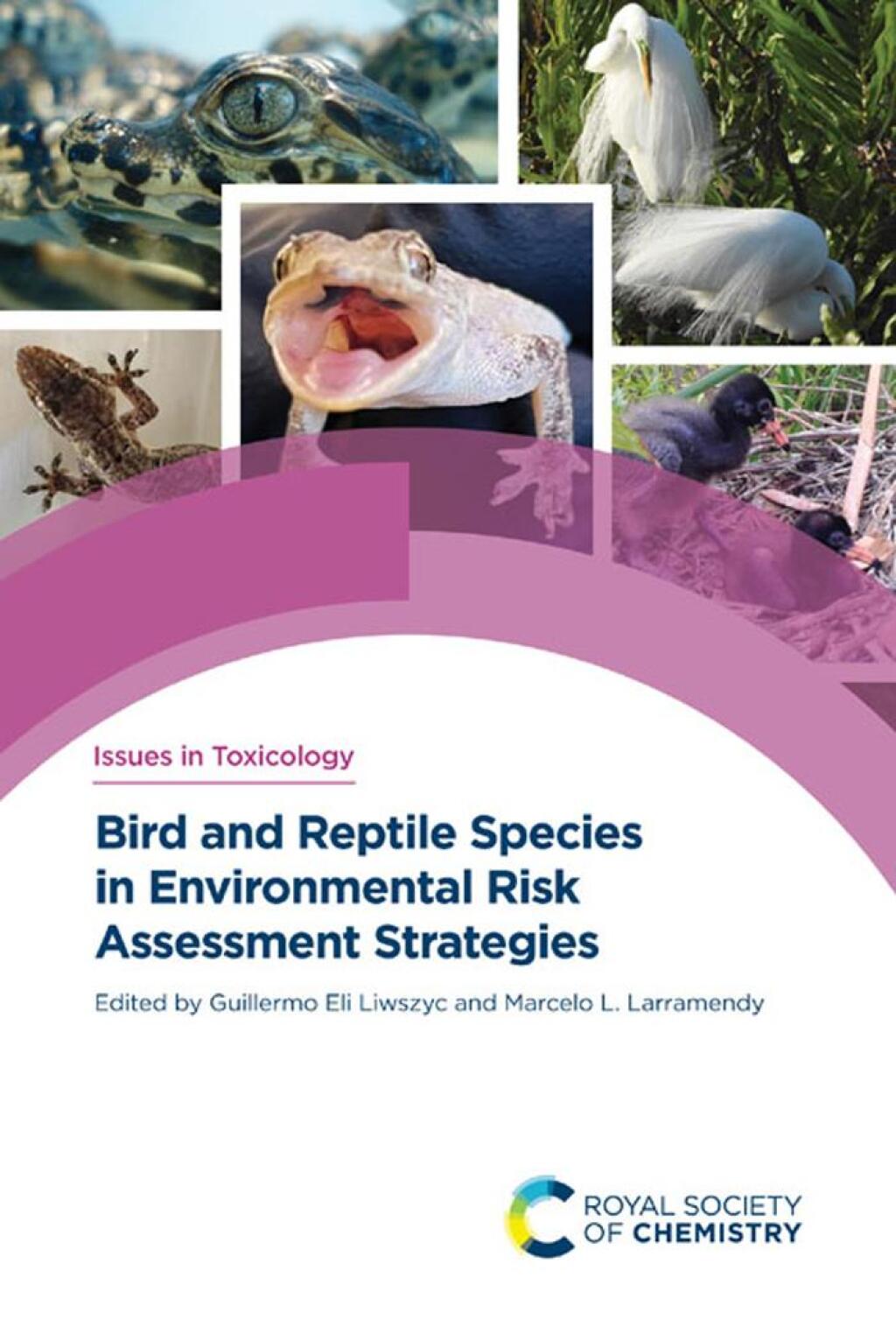 Bird and Reptile Species in Environmental Risk Assessment Strategies 1st Edition