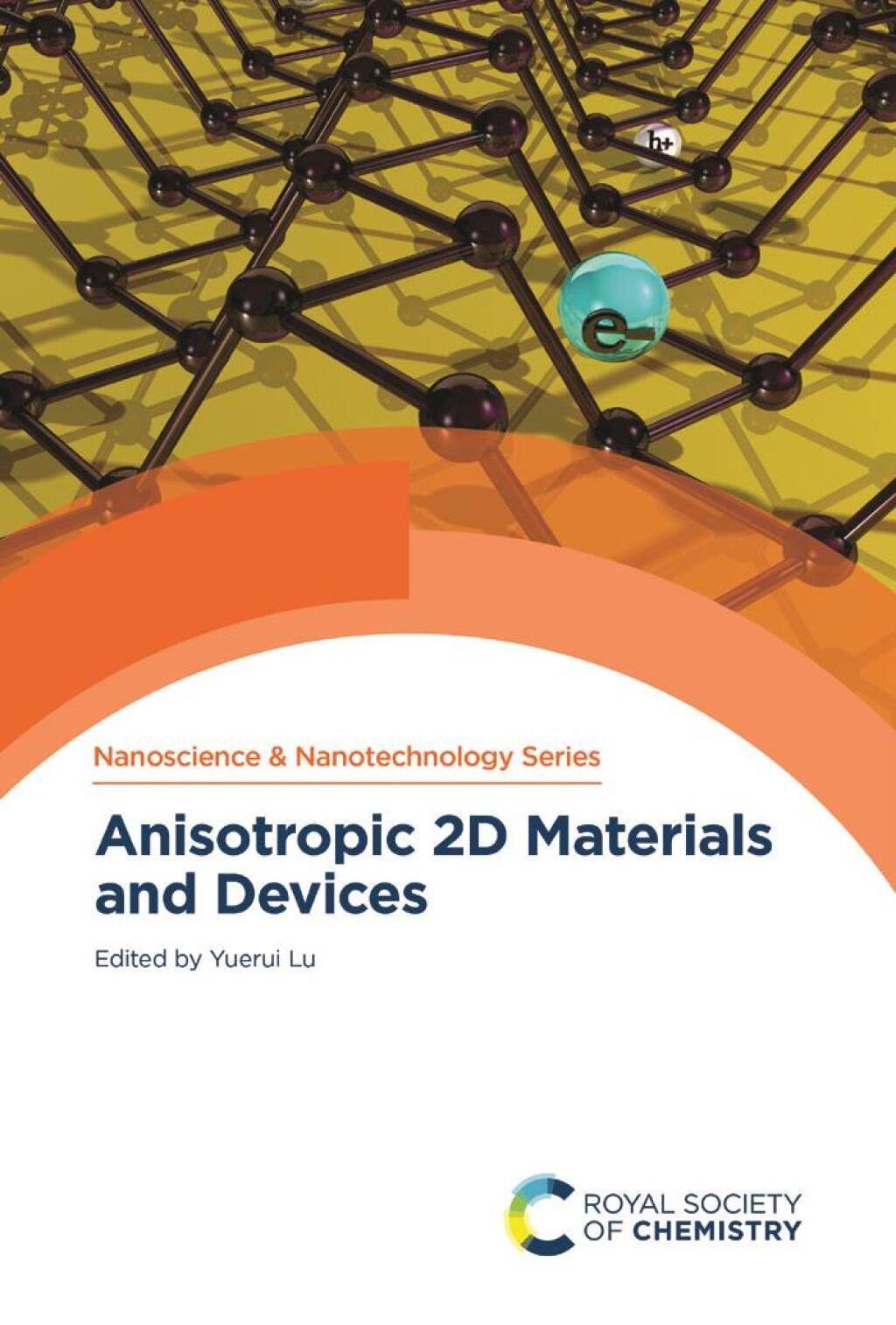 Anisotropic 2D Materials and Devices 1st Edition