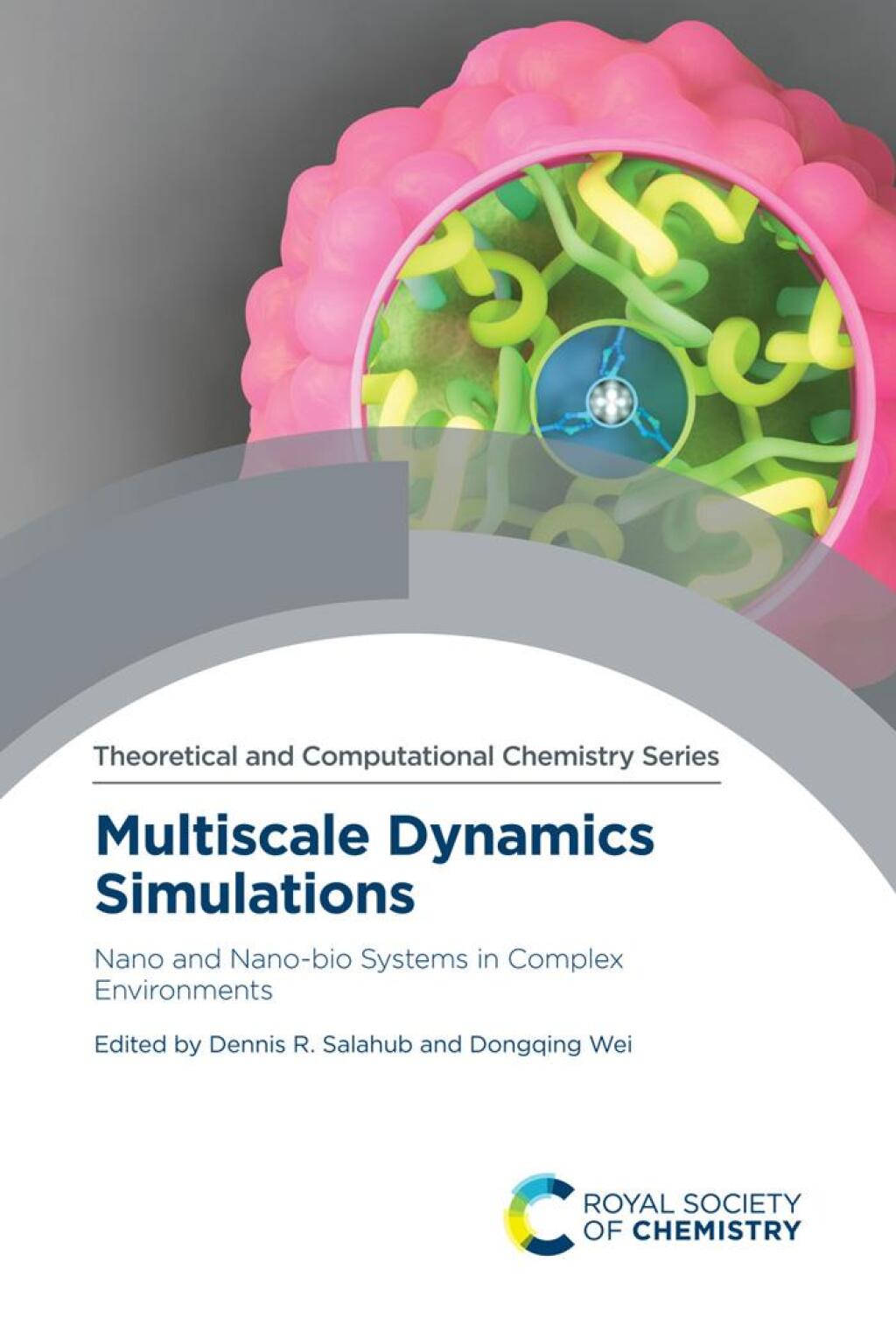 Multiscale Dynamics Simulations Nano and Nano-bio Systems in Complex Environments 1st Edition