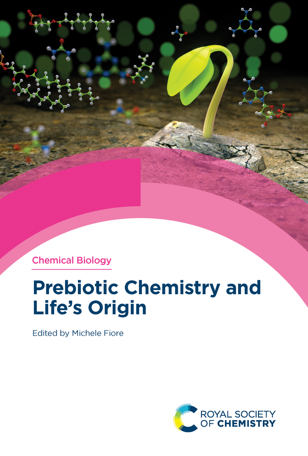 Prebiotic Chemistry and Life's Origin 1st Edition