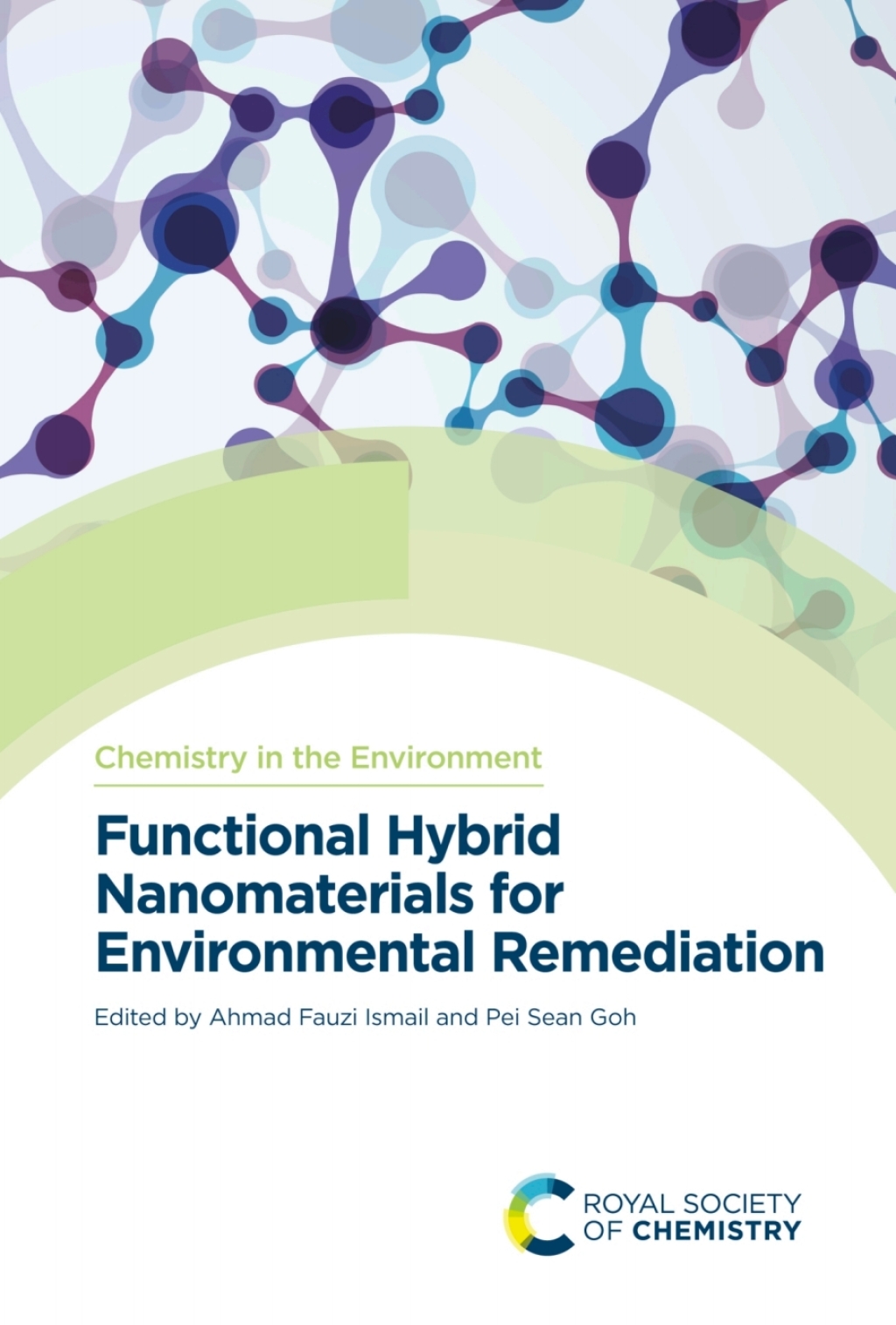 Functional Hybrid Nanomaterials for Environmental Remediation 1st Edition