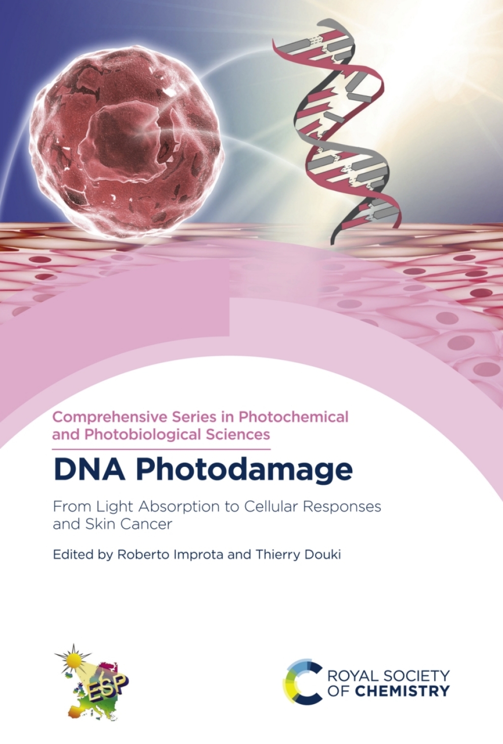 DNA Photodamage From Light Absorption to Cellular Responses and Skin Cancer 1st Edition