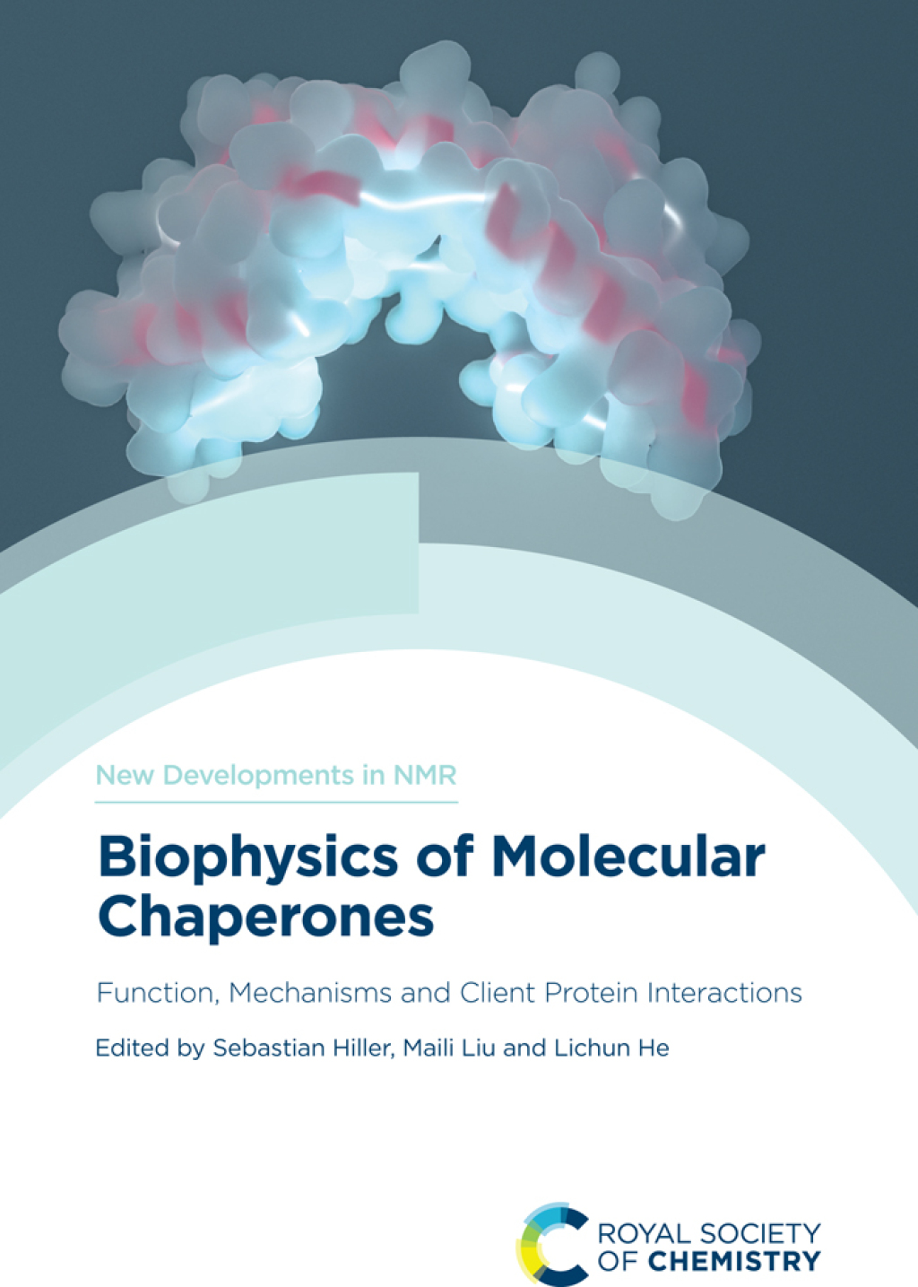 Biophysics of Molecular Chaperones Function, Mechanisms and Client Protein Interactions 1st Edition