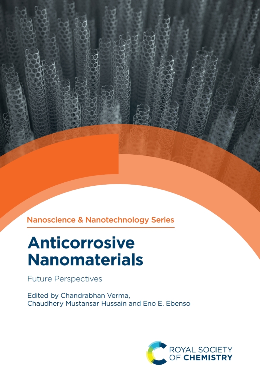 Anticorrosive Nanomaterials Future Perspectives 1st Edition