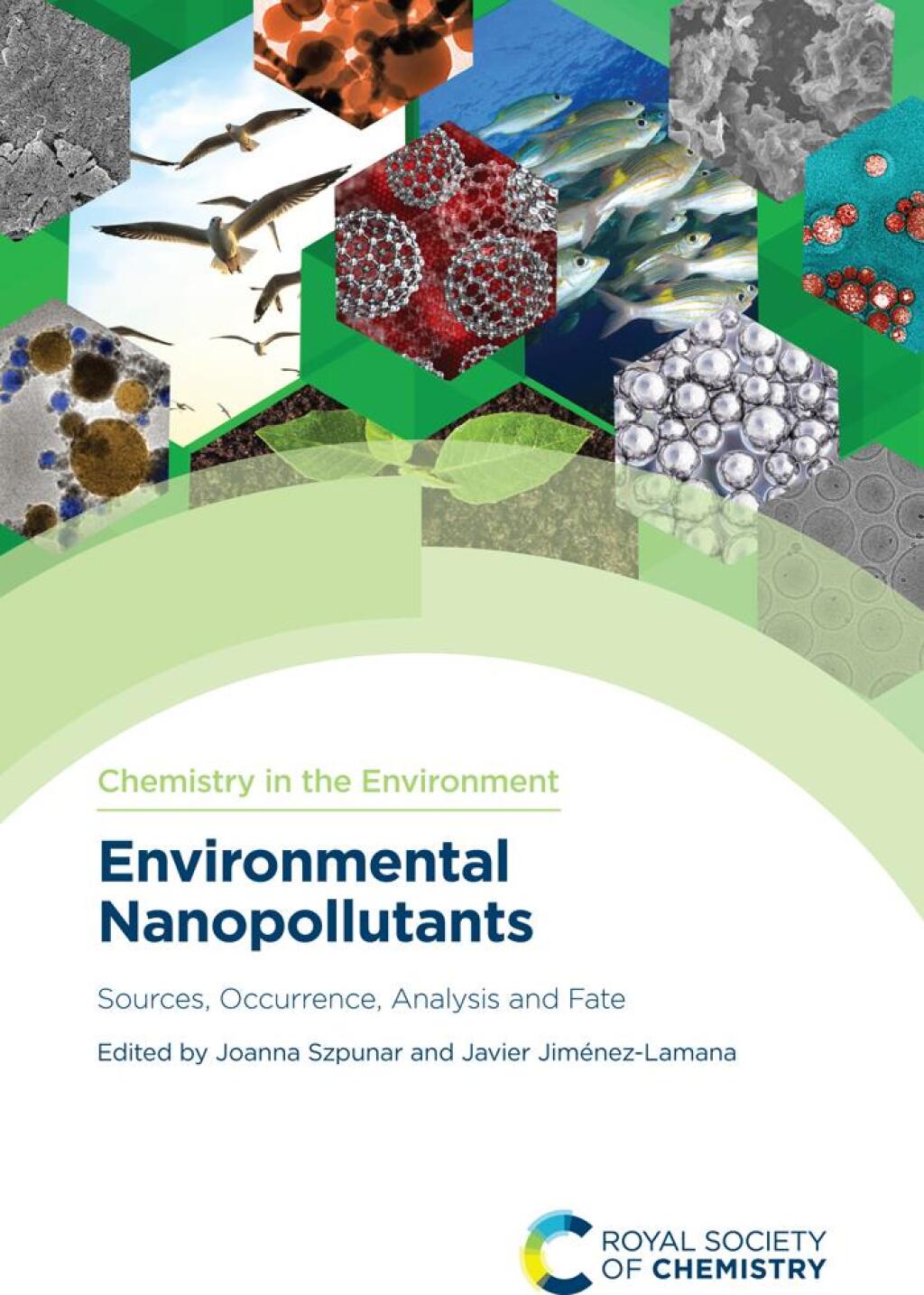 Environmental Nanopollutants 1st Edition
