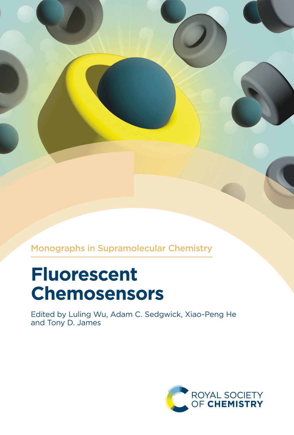 Fluorescent Chemosensors 1st Edition