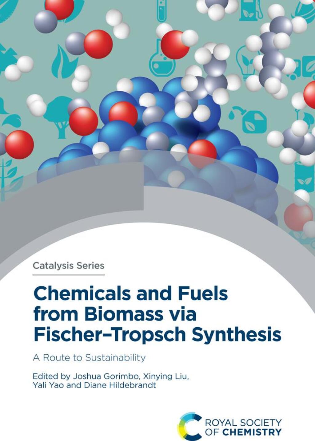 Chemicals and Fuels from Biomass via FischerÃ¢â‚¬â€œTropsch Synthesis 1st Edition
