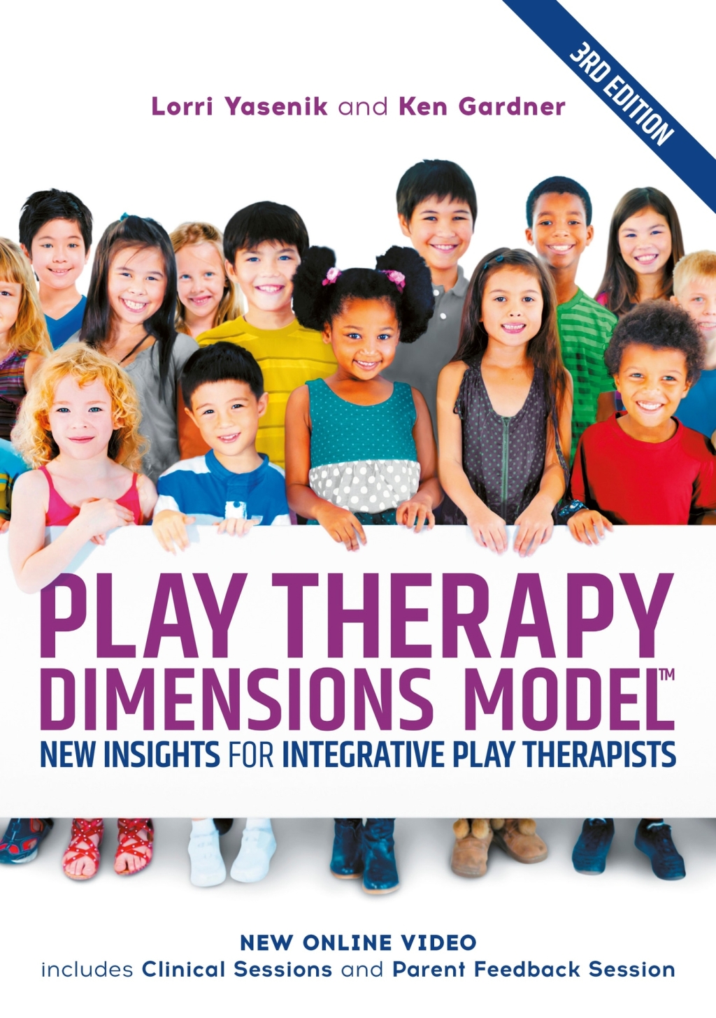 Play Therapy Dimensions Model New Insights for Integrative Play Therapists (3rd edition) 