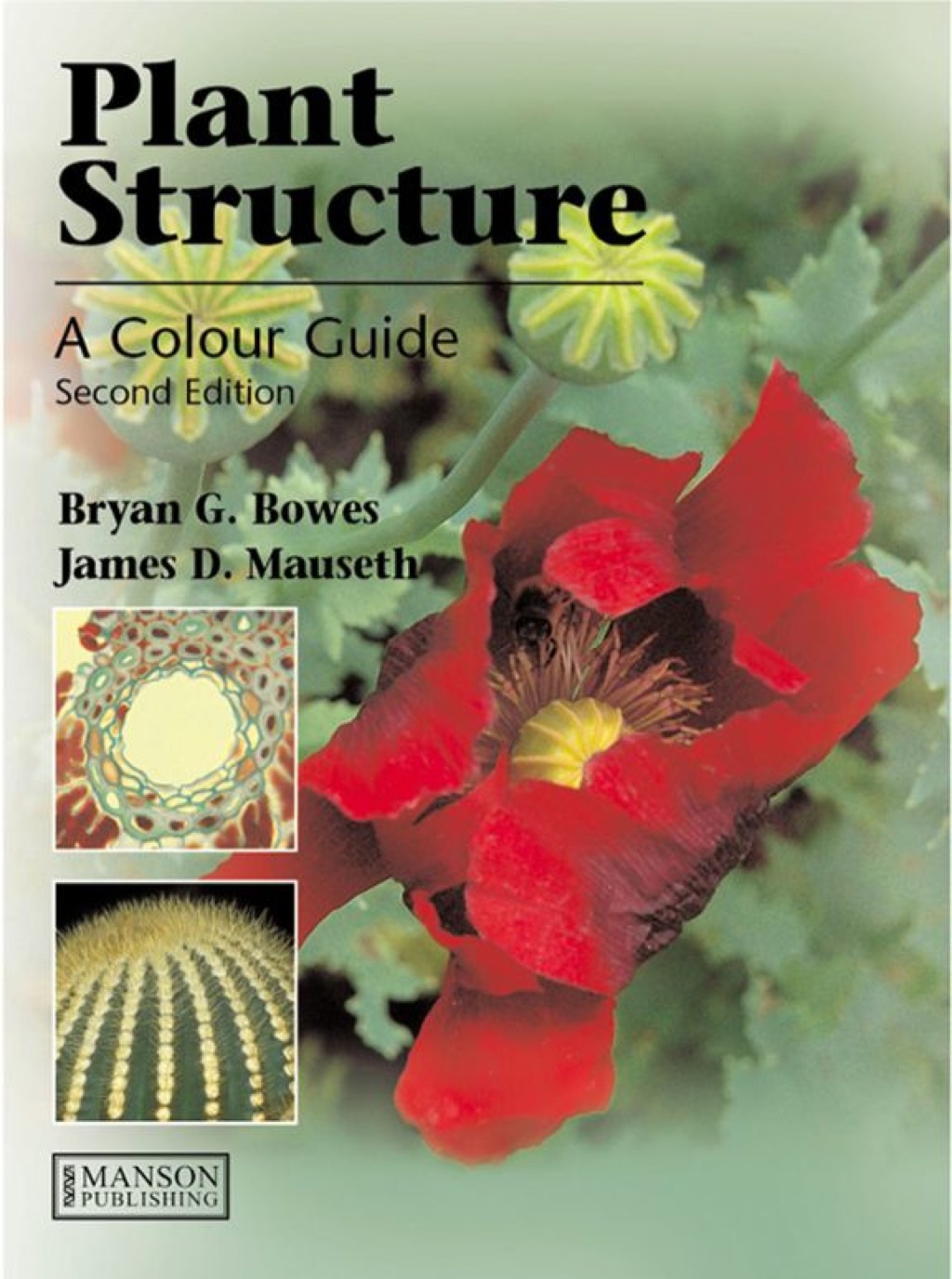 Plant Structure 2nd Edition