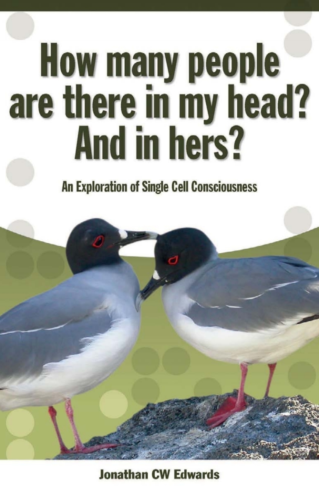 How Many People Are There In My Head? And In Hers? 1st Edition