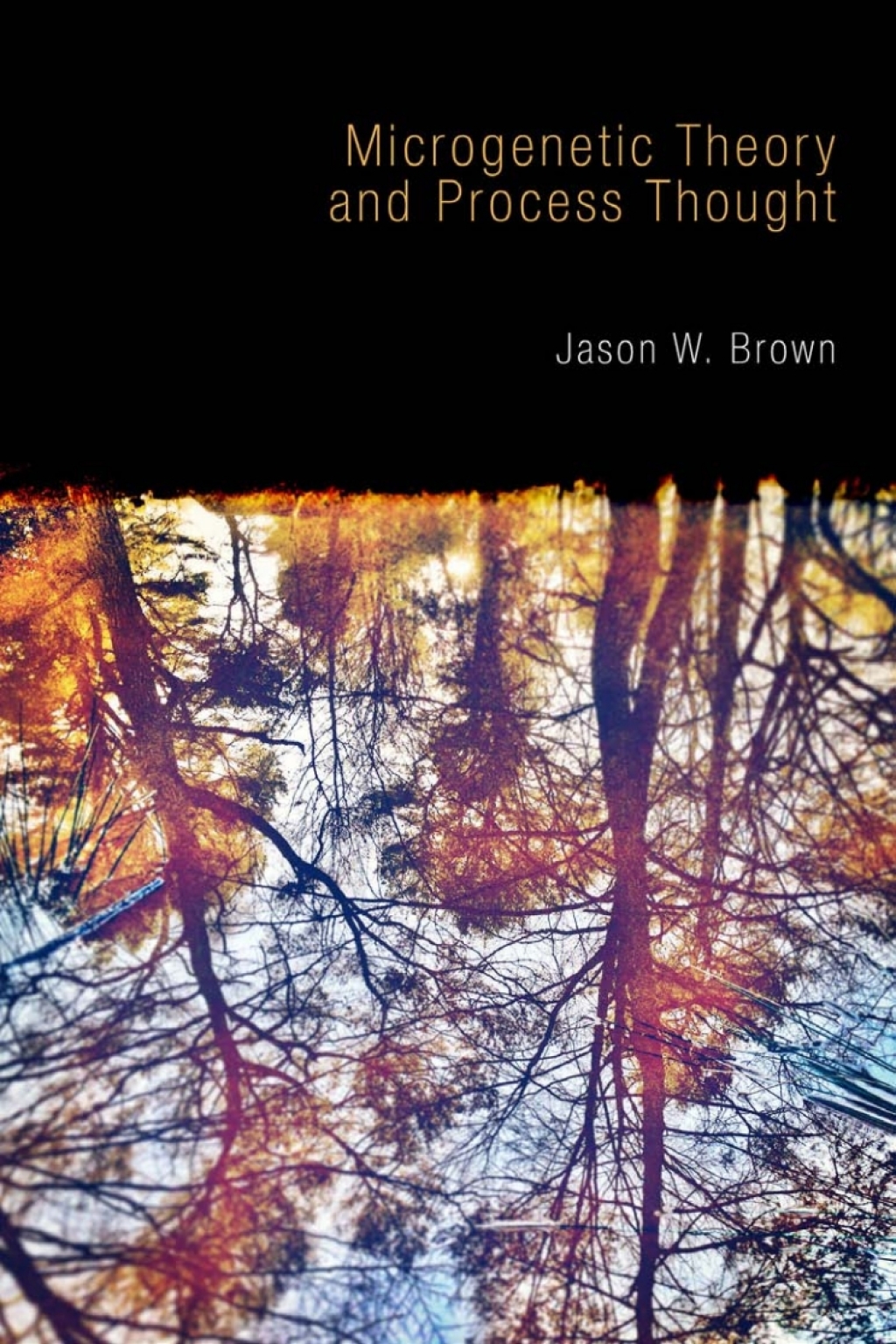 Microgenetic Theory and Process Thought 1st Edition