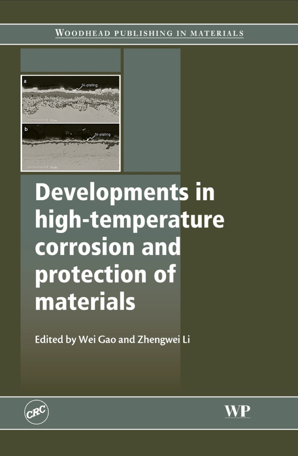 Developments in High Temperature Corrosion and Protection of Materials 