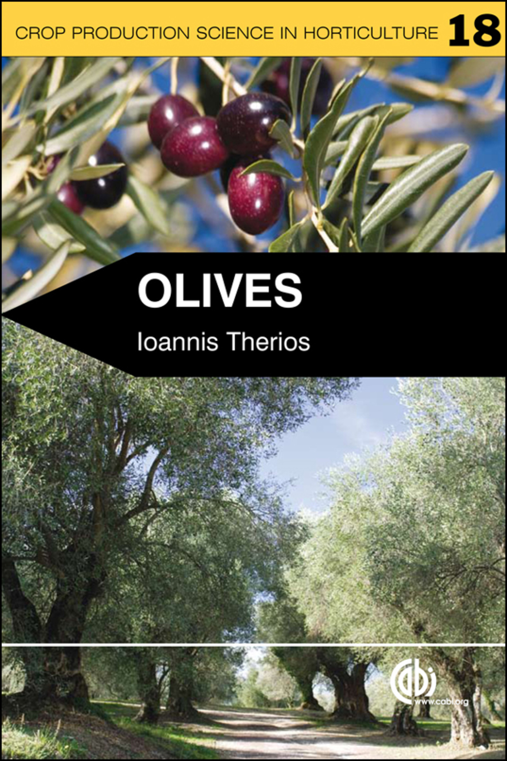 Olives 