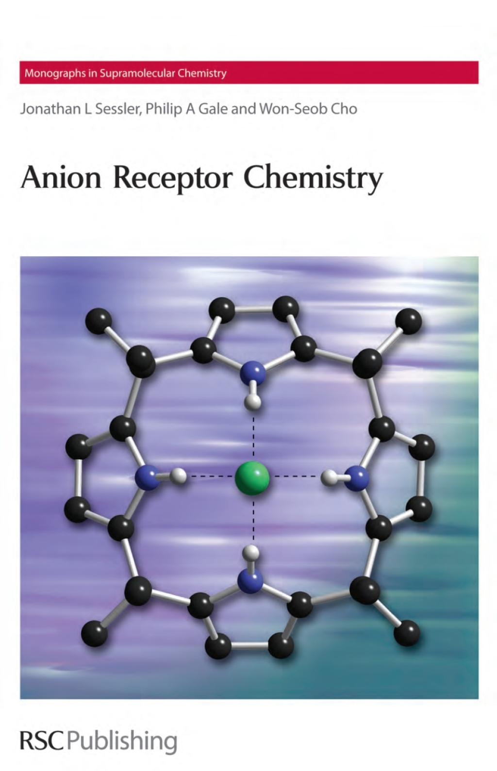 Anion Receptor Chemistry 1st Edition