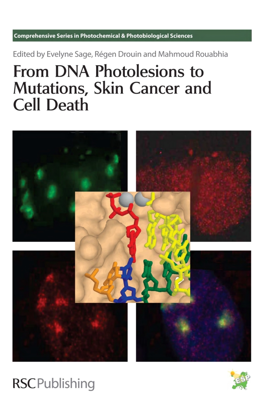 From DNA Photolesions to Mutations, Skin Cancer and Cell Death 1st Edition