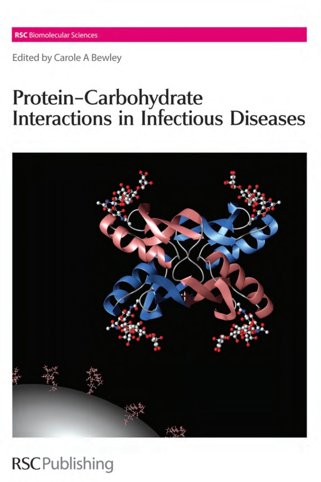 Protein-Carbohydrate Interactions in Infectious Diseases 1st Edition