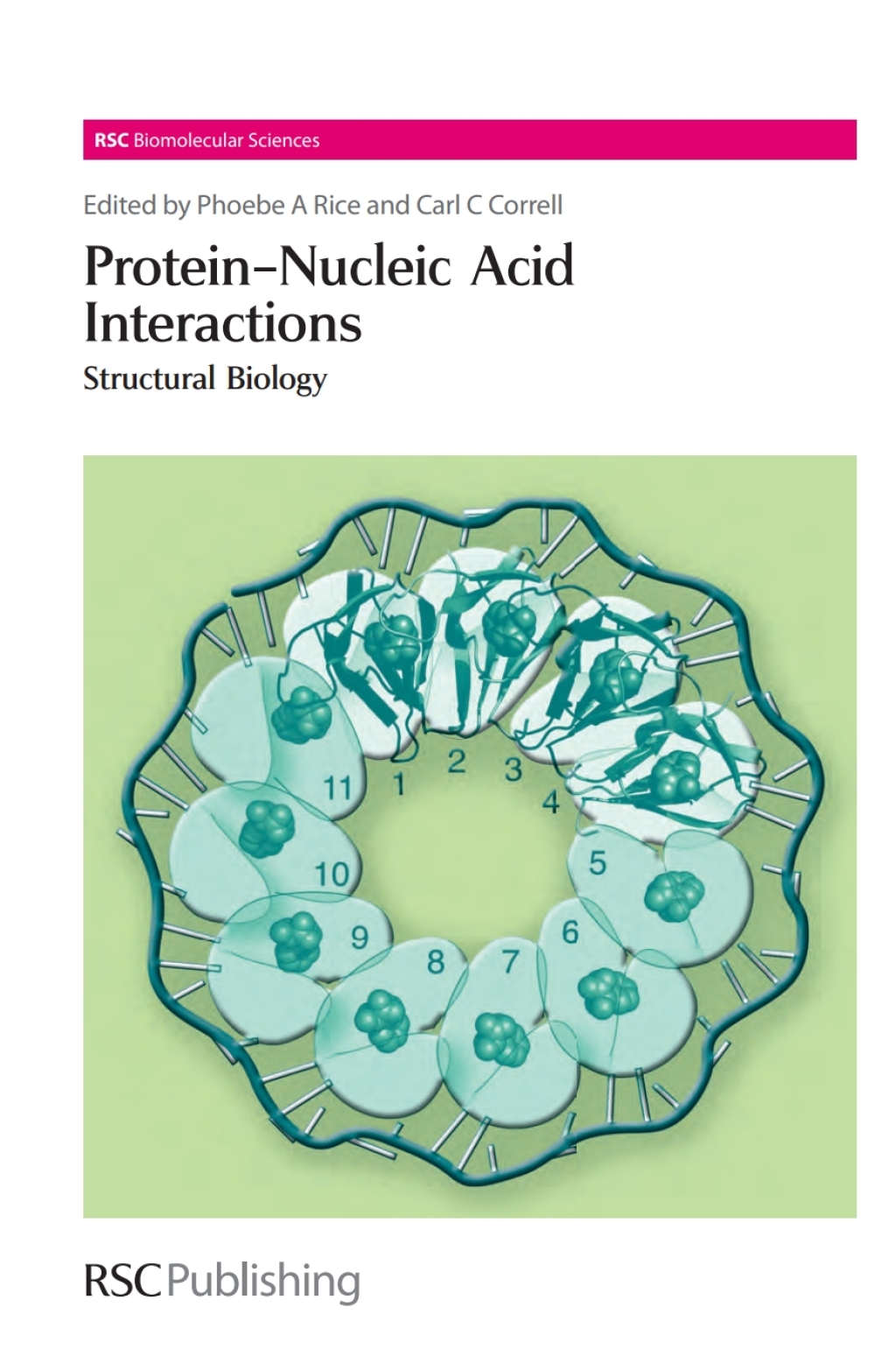 Protein-Nucleic Acid Interactions Structural Biology 1st Edition