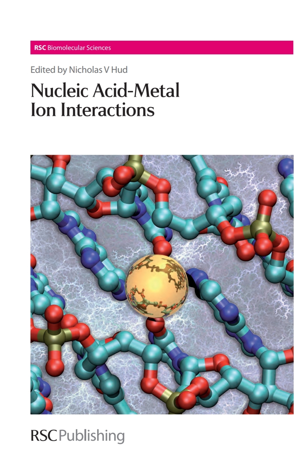 Nucleic Acid-Metal Ion Interactions 1st Edition