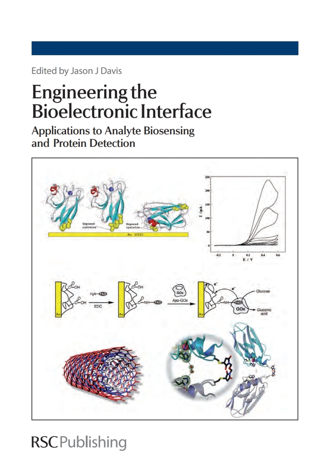 Engineering the Bioelectronic Interface Applications to Analyte Biosensing and Protein Detection 1st Edition
