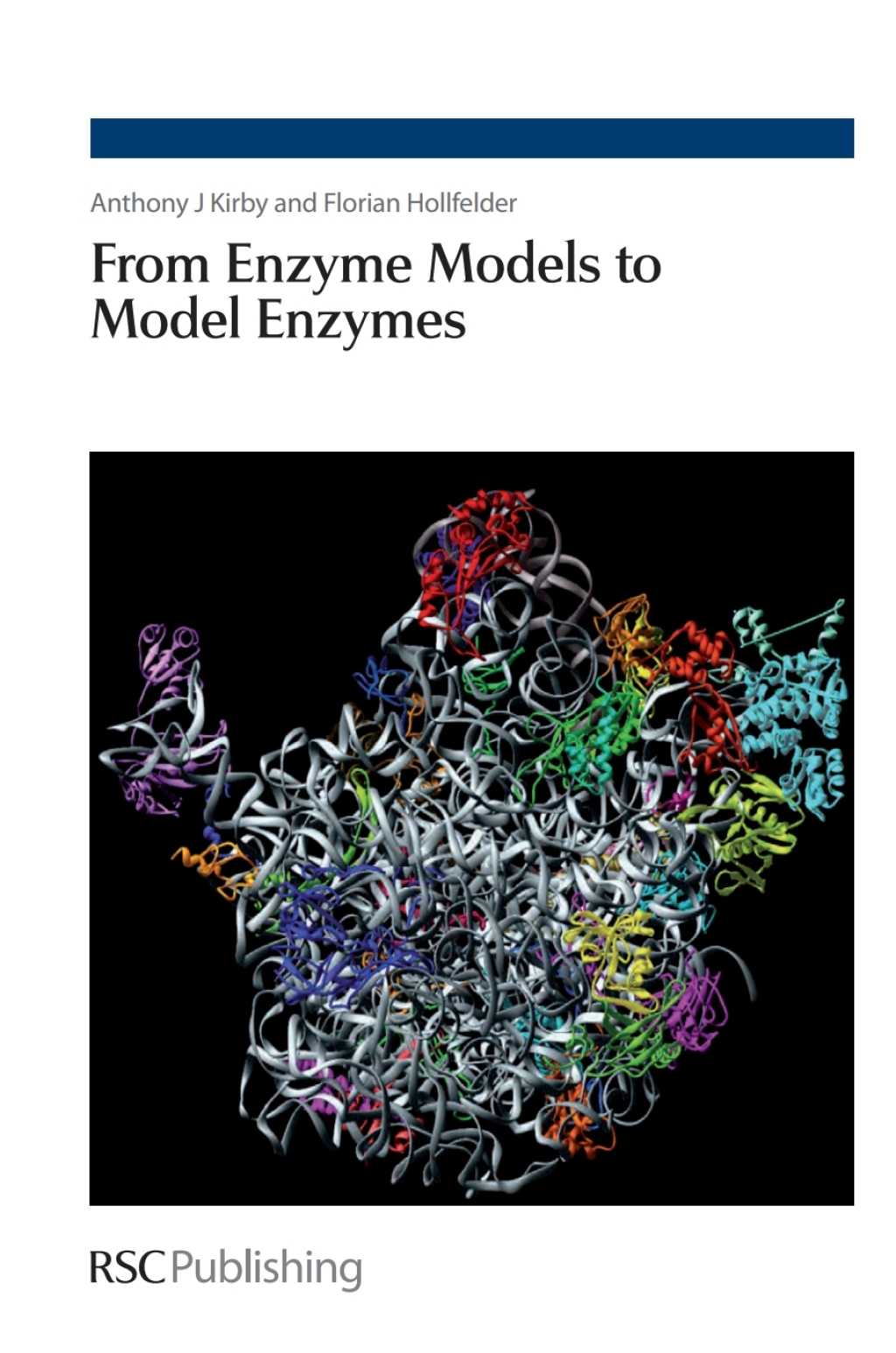From Enzyme Models to Model Enzymes 1st Edition