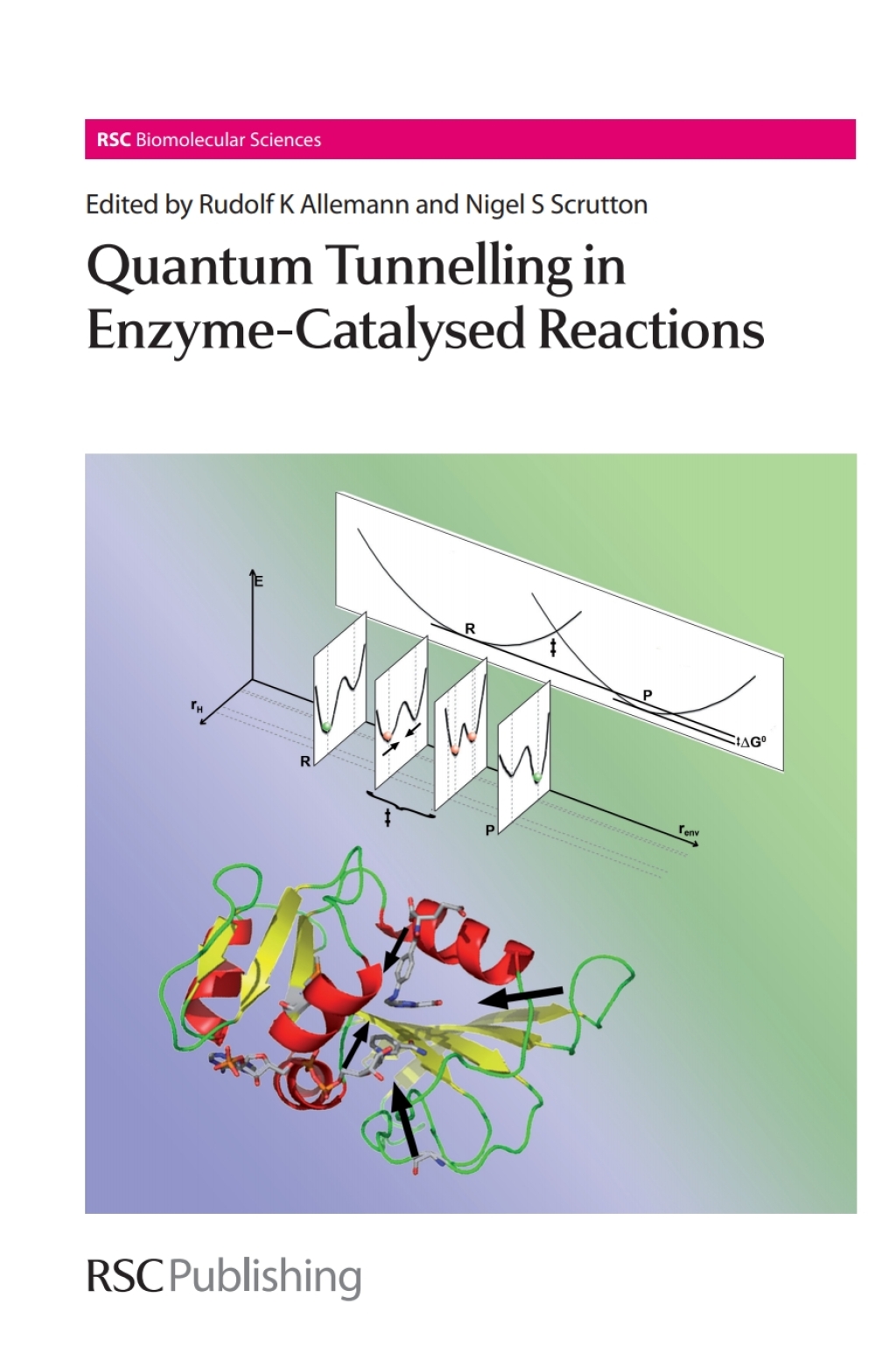 Quantum Tunnelling in Enzyme-Catalysed Reactions 1st Edition