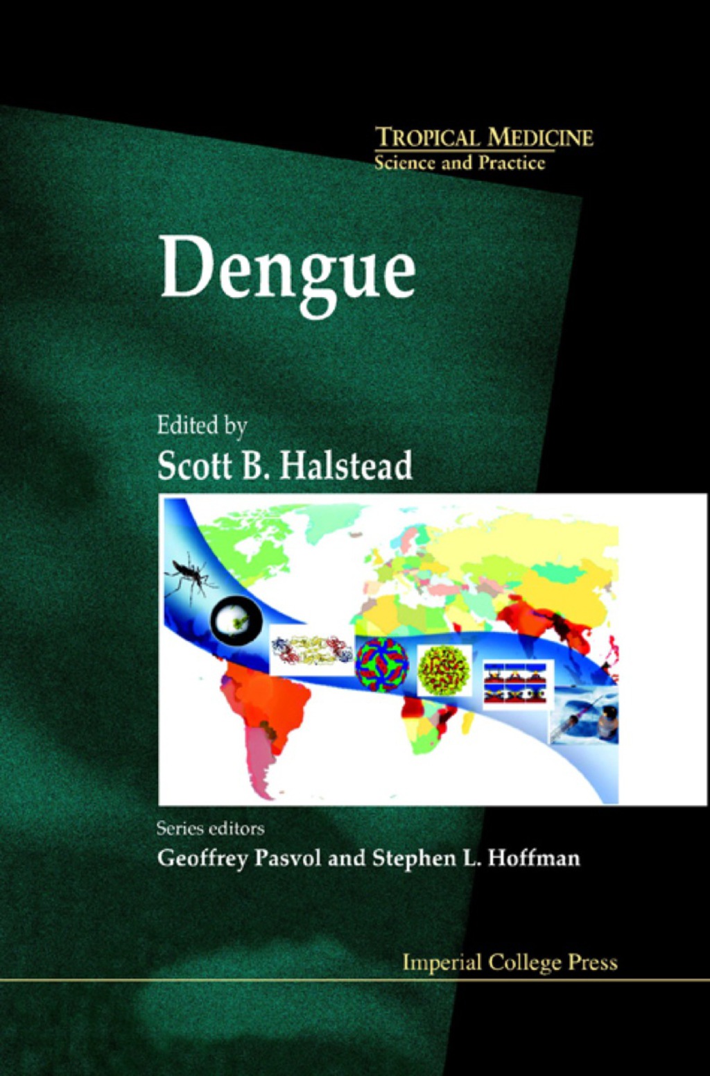 DENGUE               (V5) 
