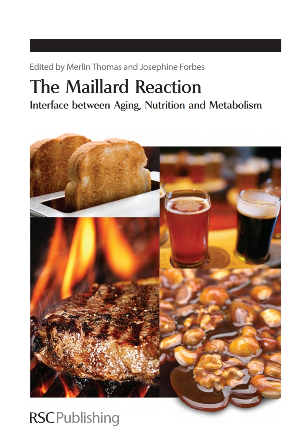 Maillard Reaction Interface between Aging 1st Edition