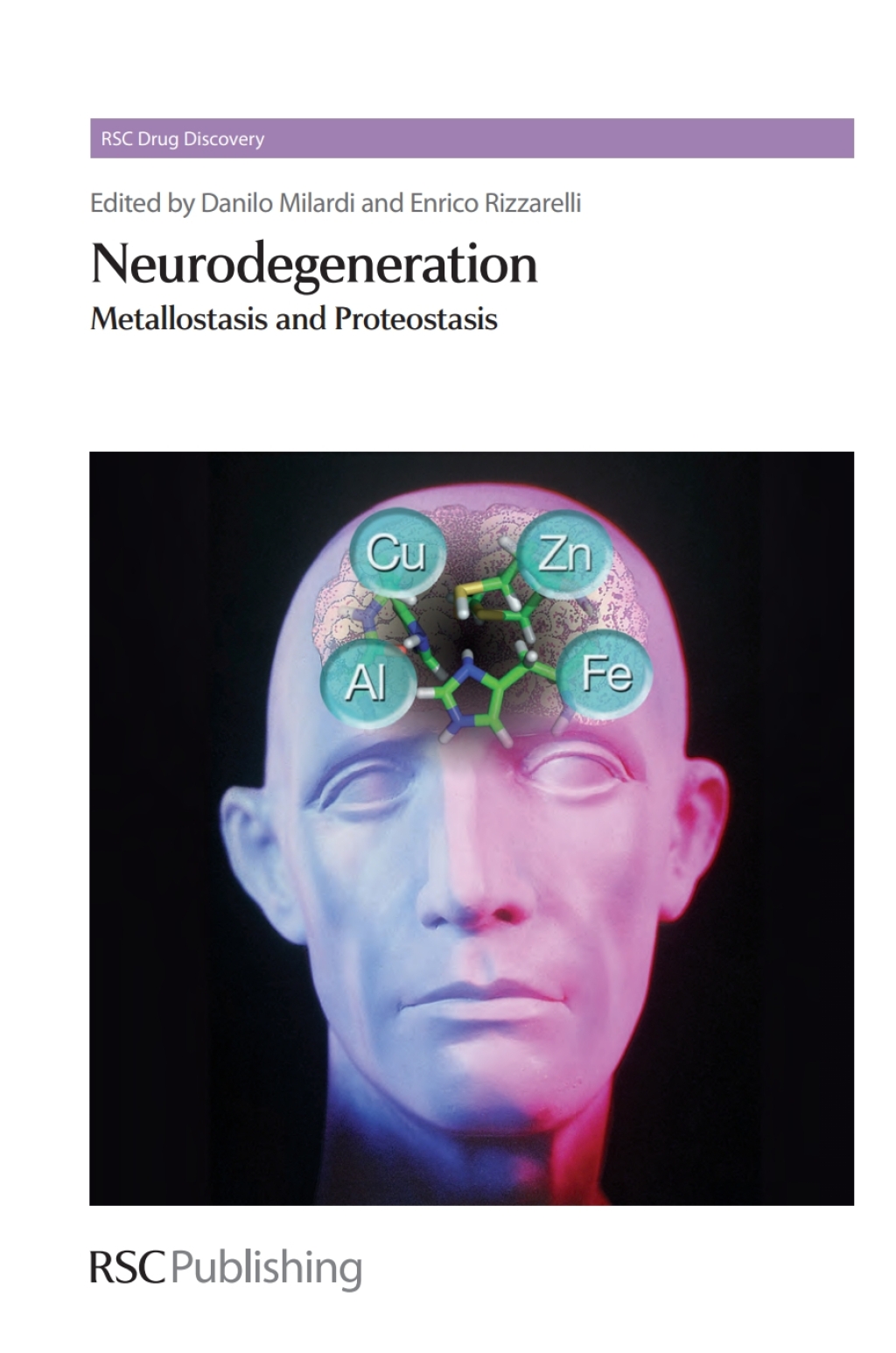 Neurodegeneration Metallostasis and Proteostasis 1st Edition
