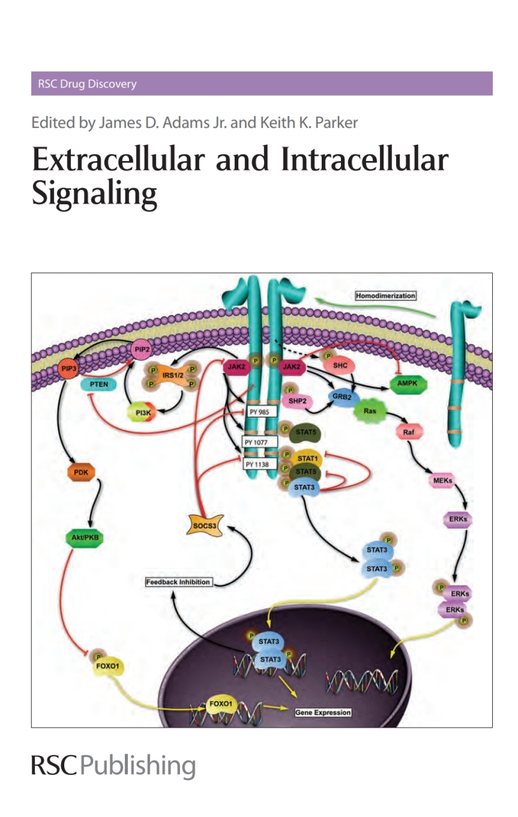 Extracellular and Intracellular Signaling 1st Edition