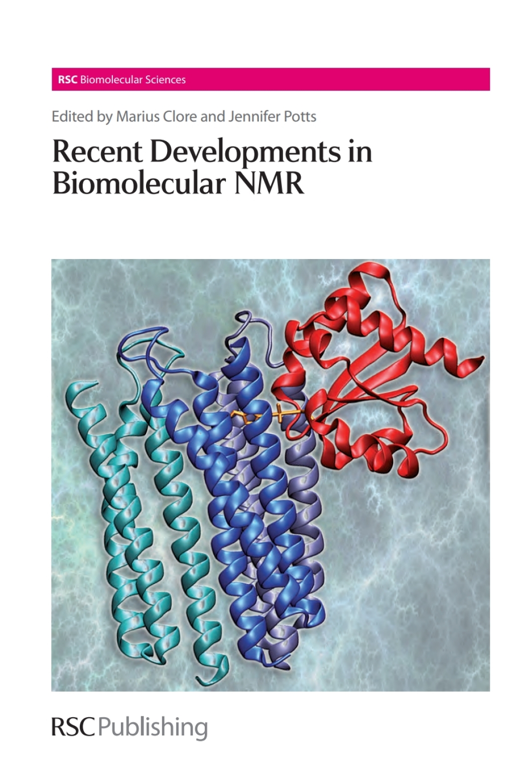 Recent Developments in Biomolecular NMR 1st Edition