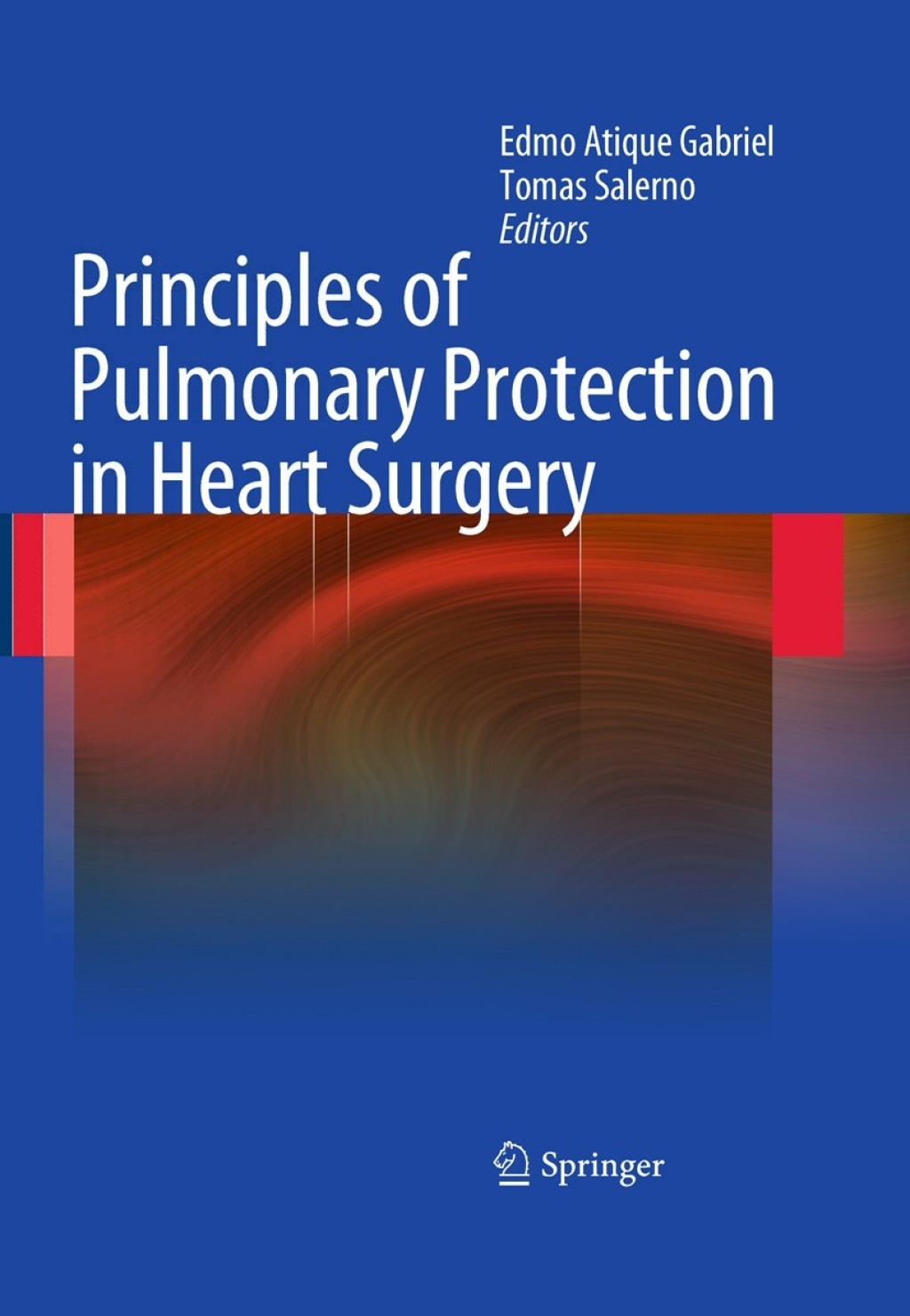 Principles of Pulmonary Protection in Heart Surgery 1st Edition