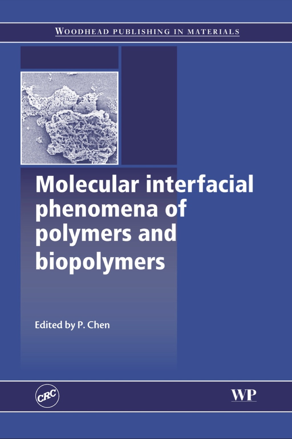Molecular Interfacial Phenomena of Polymers and Biopolymers 
