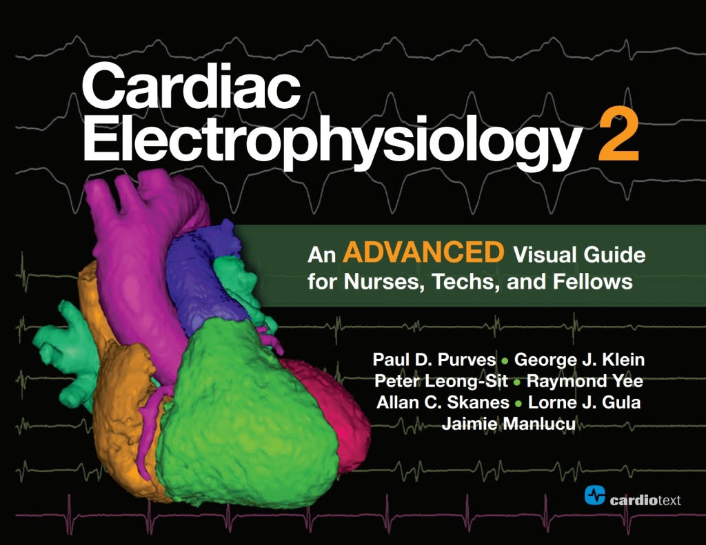 Cardiac Electrophysiology 2: An Advanced Visual Guide for Nurses, Techs, and Fellows An Advanced Visual Guide for Nurses, Techs, and Fellows 1st Edition