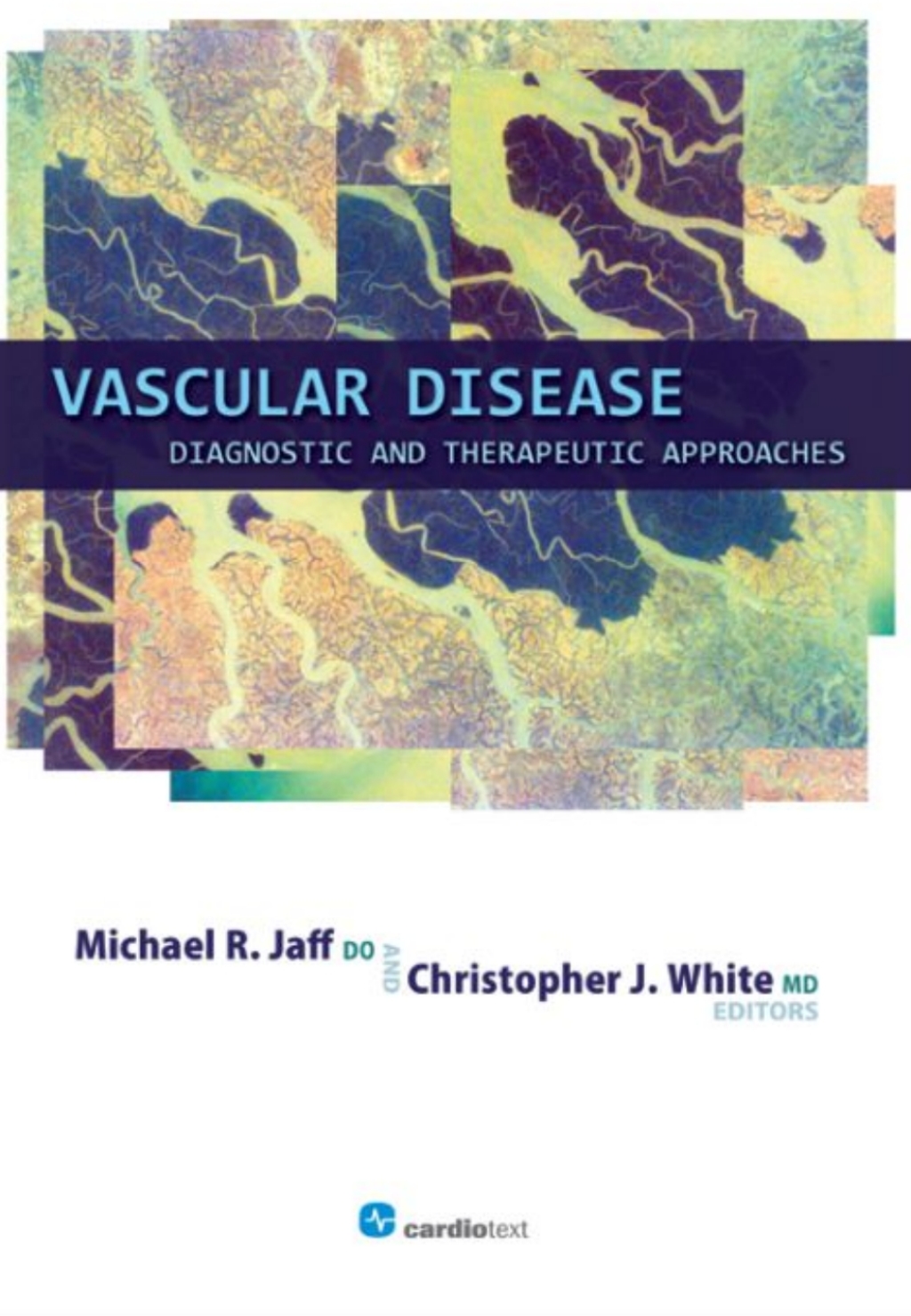 Vascular Disease: Diagnostic and Therapeutic Approaches 1st Edition