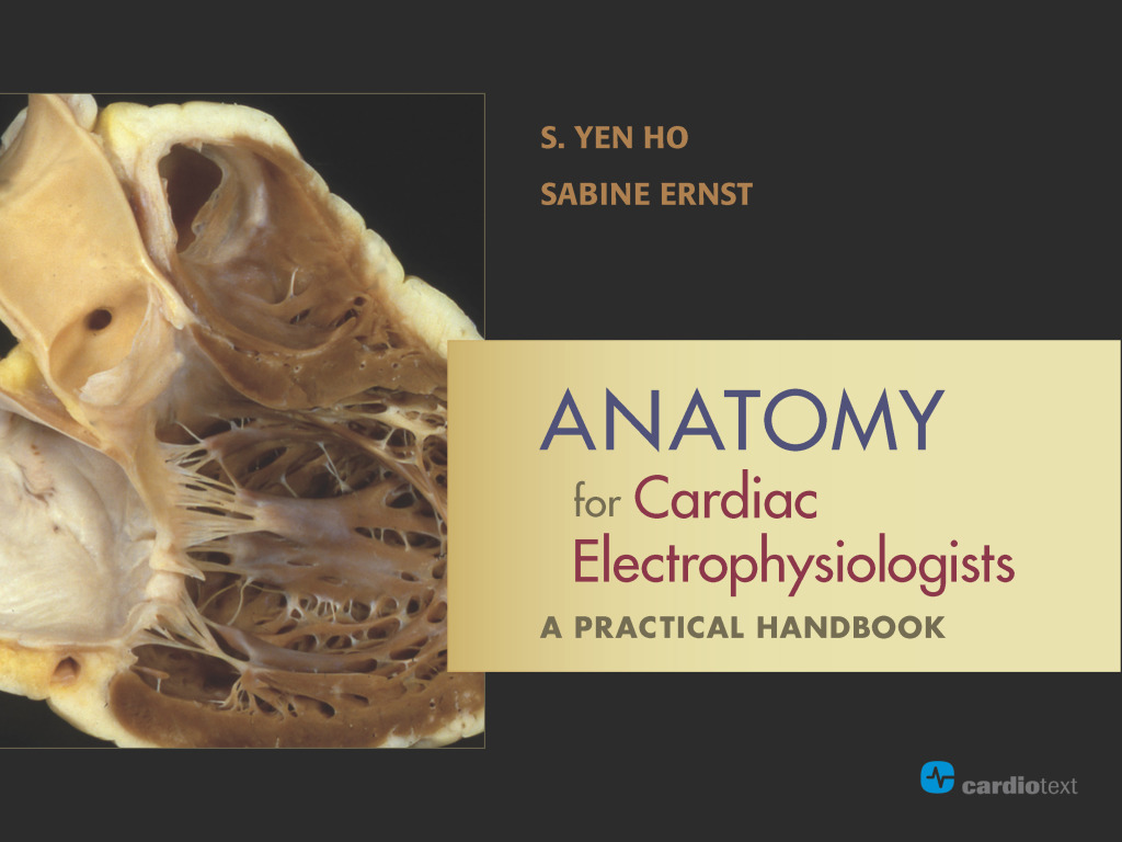 Anatomy for Cardiac Electrophysiologists: A Practical Handbook 1st Edition