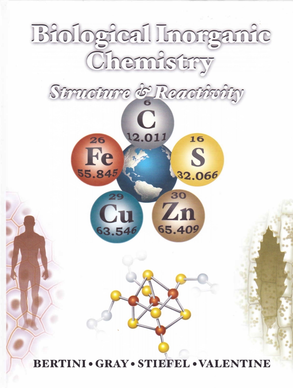 Biological Inorganic Chemistry 1st Edition