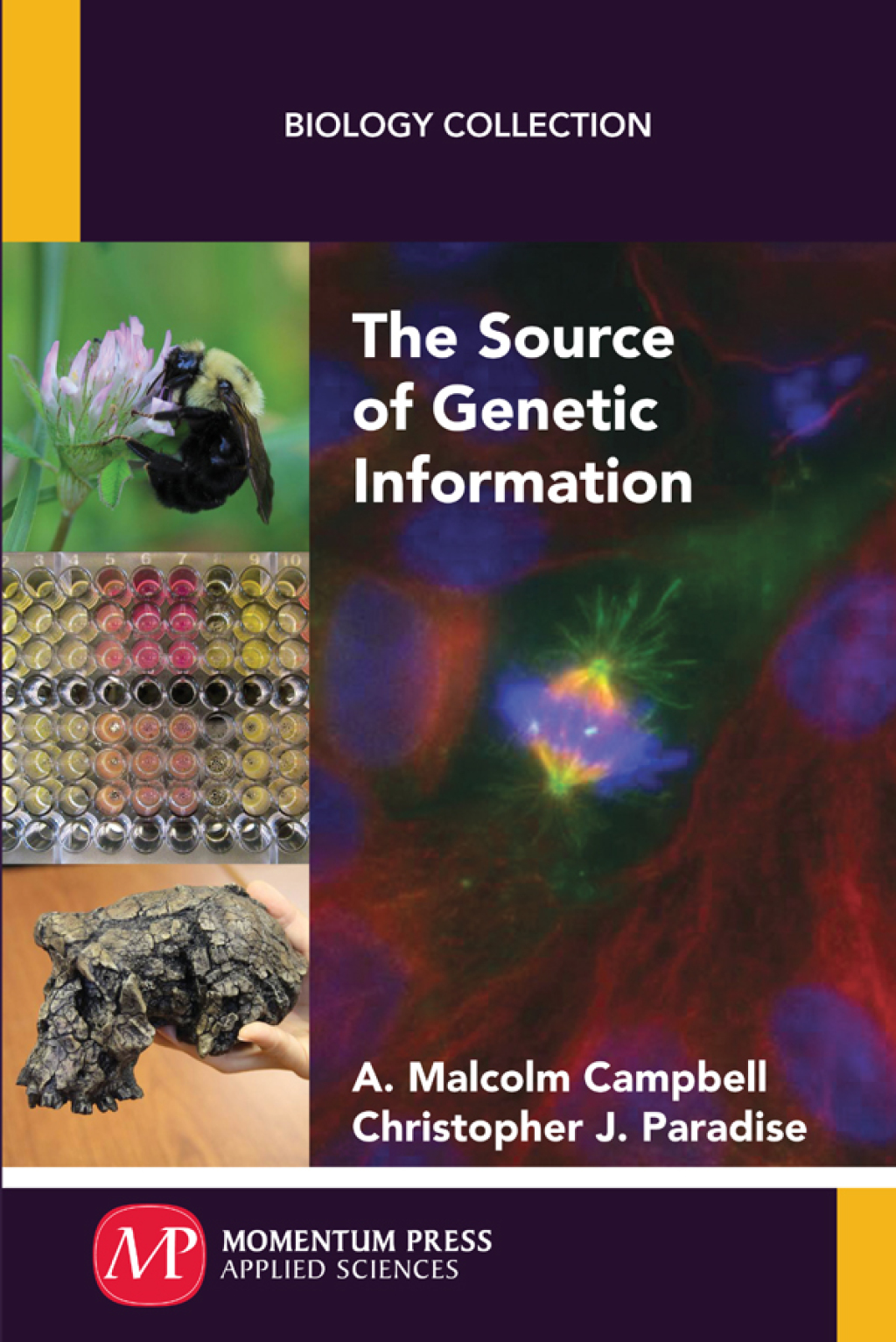 The Source of Genetic Information 