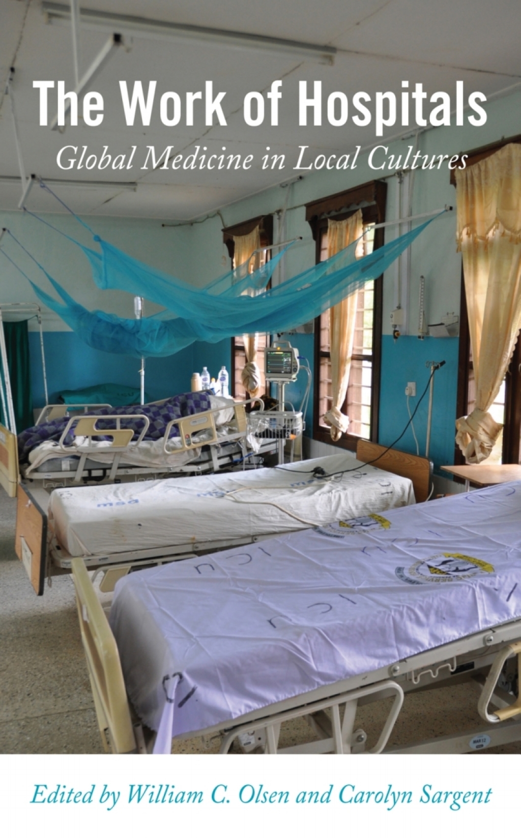 The Work of Hospitals Global Medicine in Local Cultures 