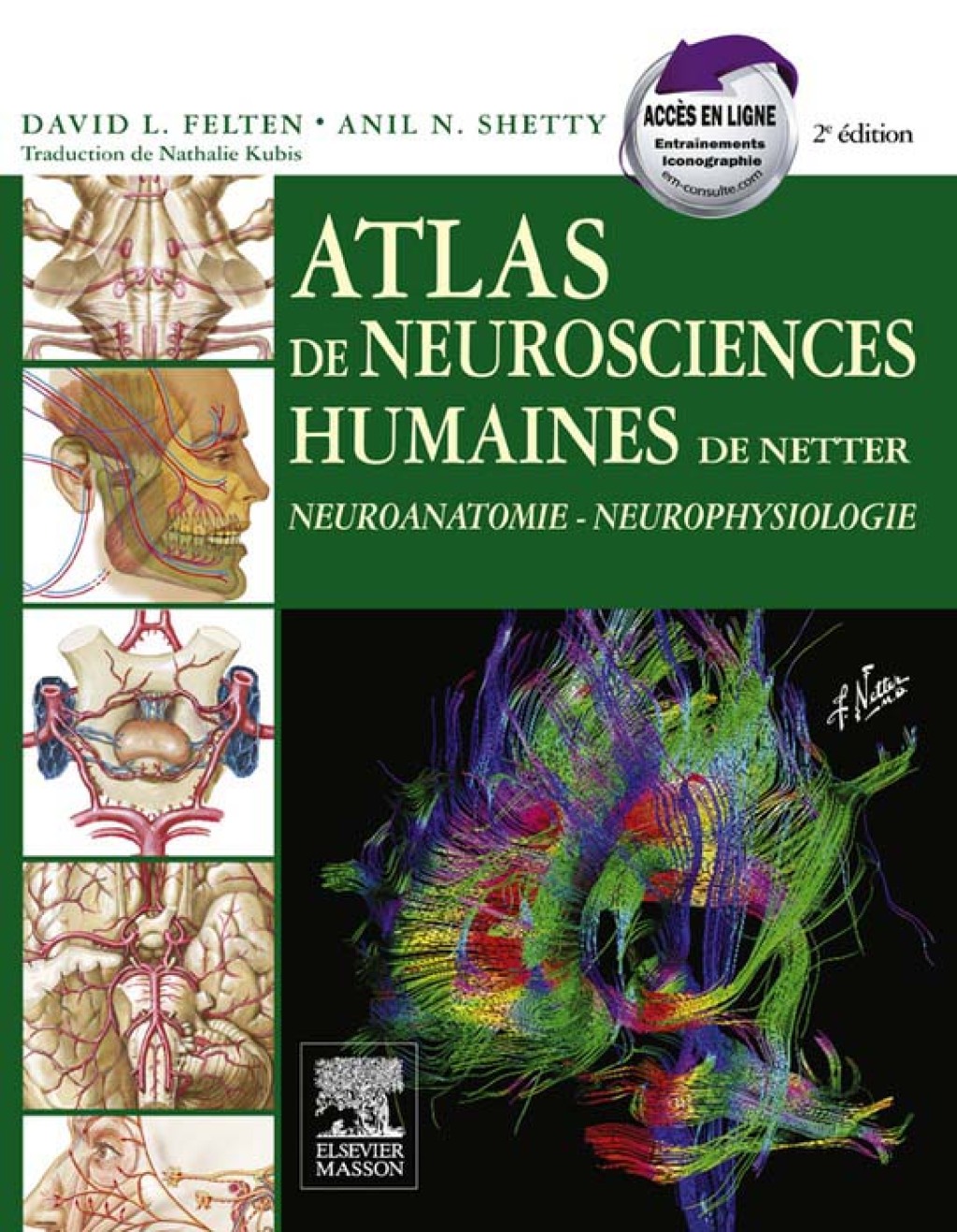Atlas de neurosciences humaines de Netter Neuroanatomie - Neurophysiologie 2nd Edition
