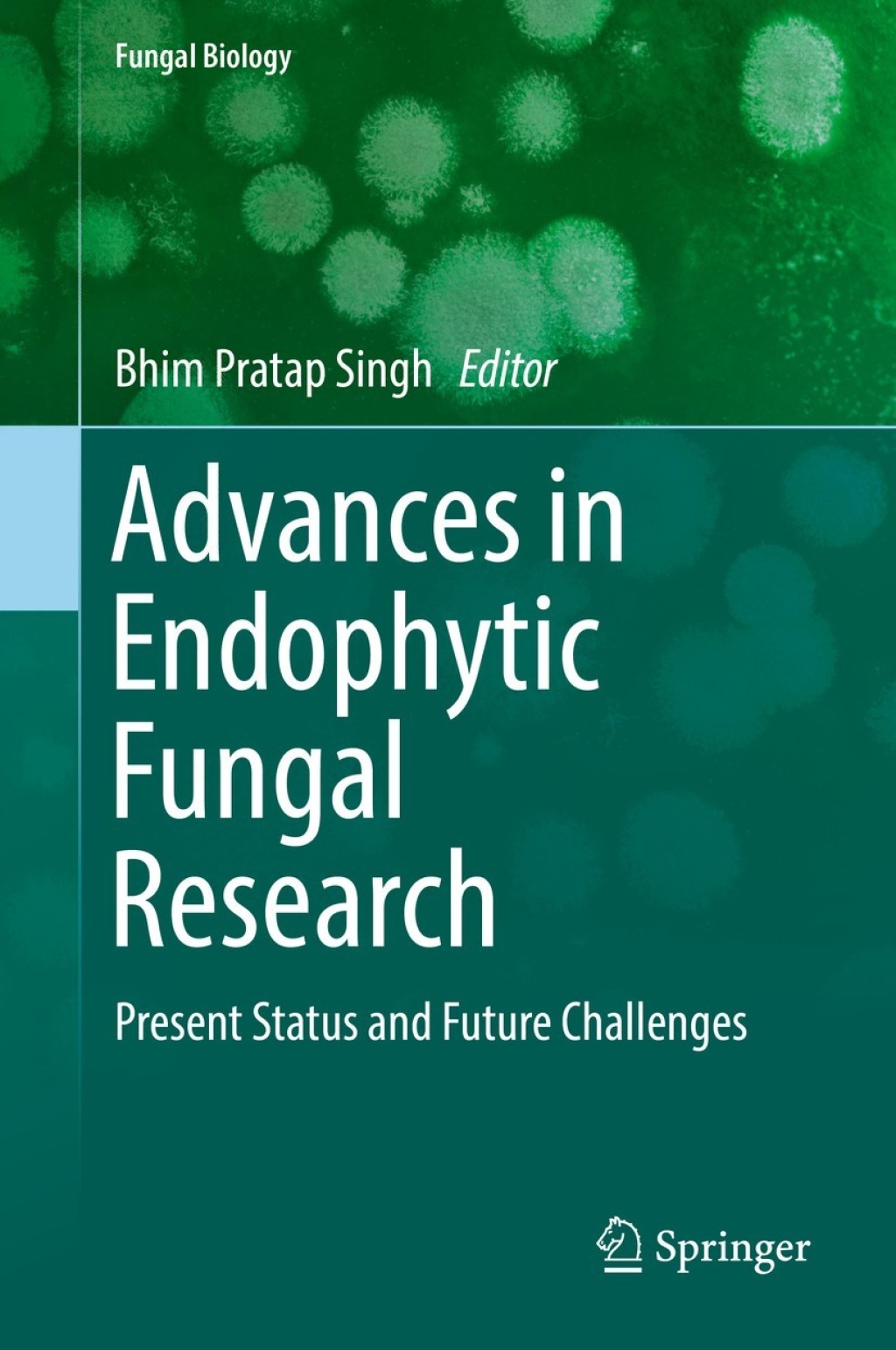 Advances in Endophytic Fungal Research Present Status and Future Challenges 