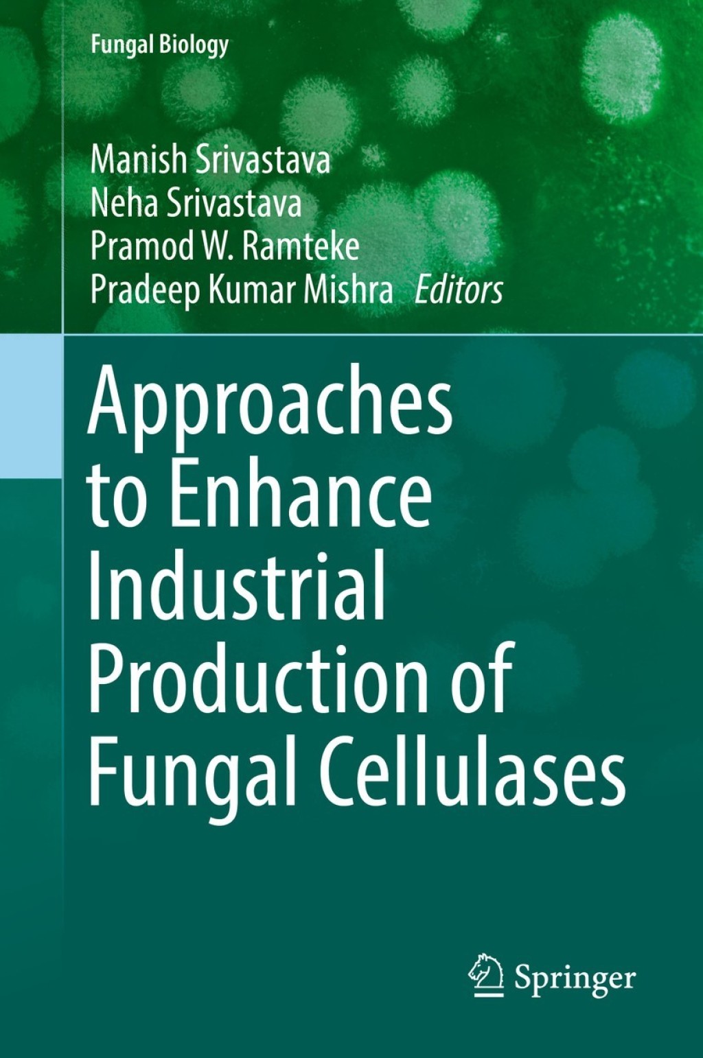 Approaches to Enhance Industrial Production of Fungal Cellulases 