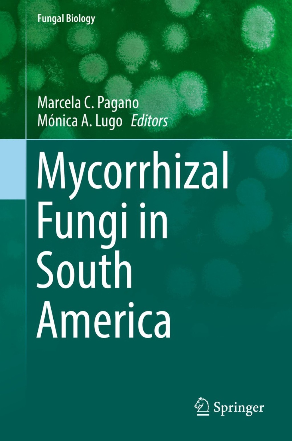 Mycorrhizal Fungi in South America 