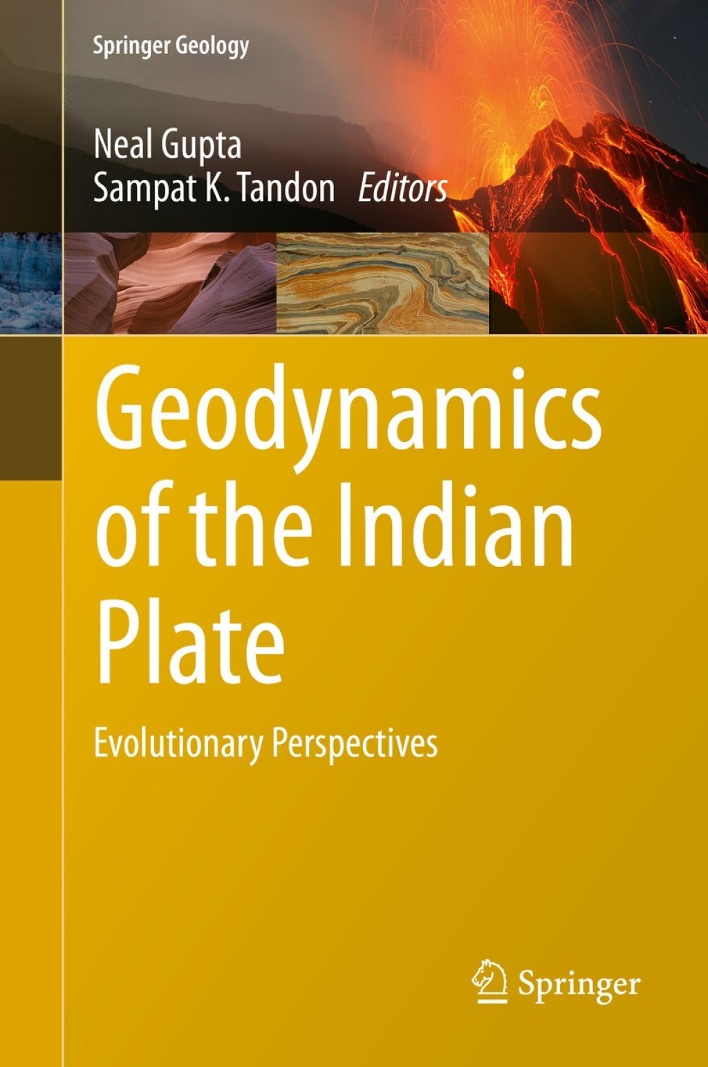 Geodynamics of the Indian Plate Evolutionary Perspectives 1st Edition
