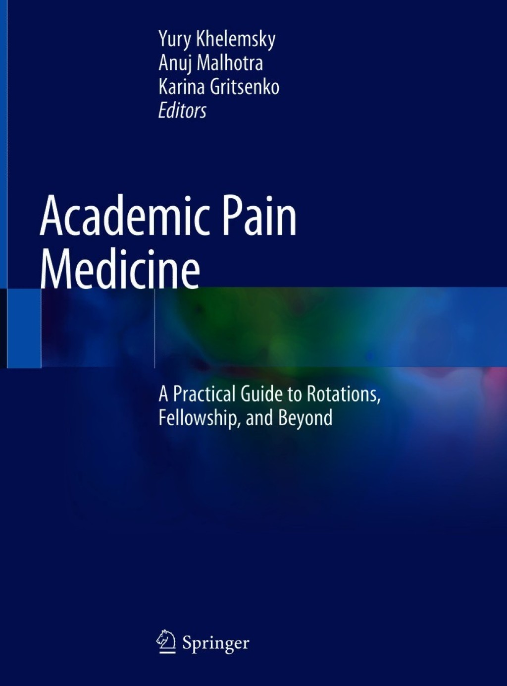 Academic Pain Medicine A Practical Guide to Rotations, Fellowship, and Beyond 